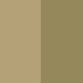 Khaki / Cactus